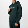Batsford Graphic Logo Hoodie
