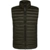 D.d. Shell Lens Down Vest