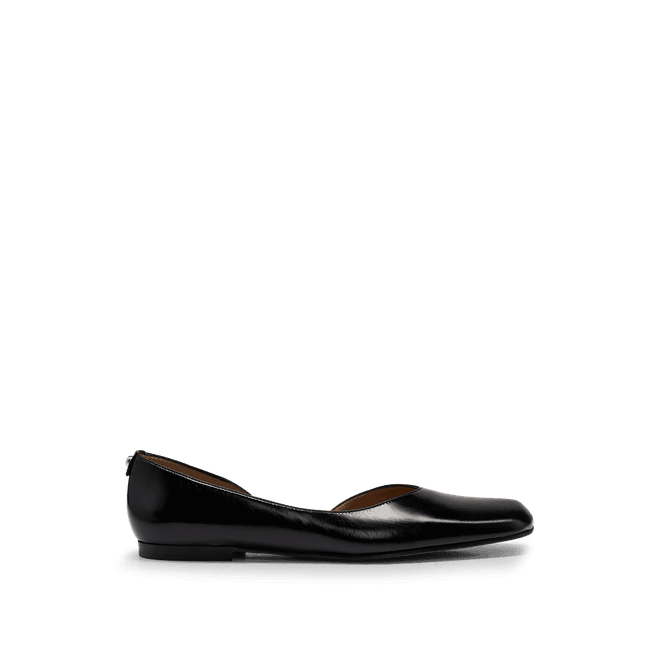 Rose Ballerina Shoes