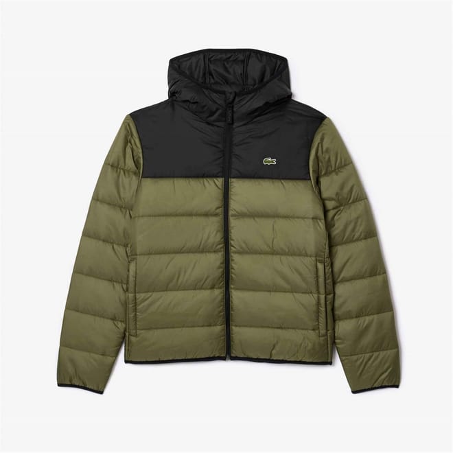Hw Hooded Crocodile Print Puffer Jacket