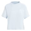 Womens 3s Crop T-Shirt