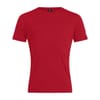 Club Crew Neck Regular Fit T-Shirt