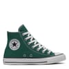Taylor All Star Classic Trainers