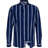 Shadow Stripe Regular Fit Shirt