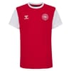 Denmark Fan Block T-Shirt Junior