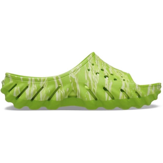 Echo Tiger Slides