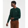 Crew Neck Regular Fit Sweater