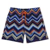 Brushal Chevron Swim Short