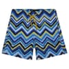 Brushal Chevron Swim Short