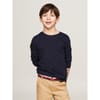 Crew Neck Long Sleeve Regular Fit T-Shirt