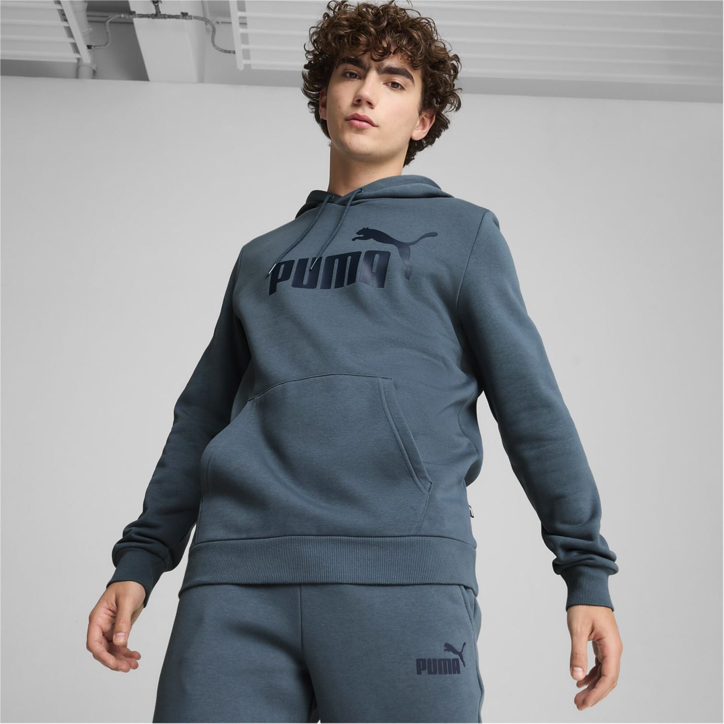 Puma Mens No1 Oth Hoodie in Grey