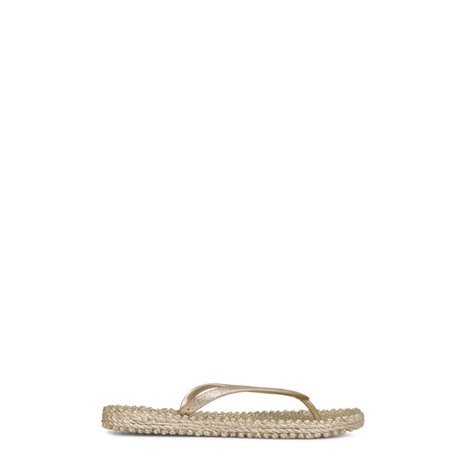 Flip Flops