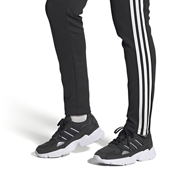 Falcon Trainers