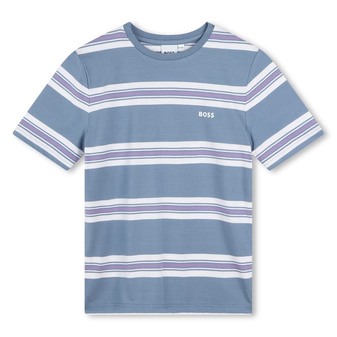Striped Regular Fit Crew Neck T-Shirt