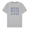 Crew Neck Regular Fit Short Sleeve T-Shirt