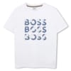Crew Neck Regular Fit Short Sleeve T-Shirt