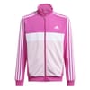 Essentials Tiberio Tracksuit