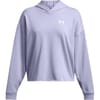 Rival Terry Hooded Cropped Sweatshirt