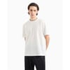 Exchange Regular Fit V-Neck T-Shirt