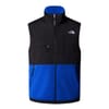 Retro Denali Regular Fit Vest
