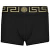 Iconic Low Trunks
