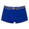 Iconic Low Trunks