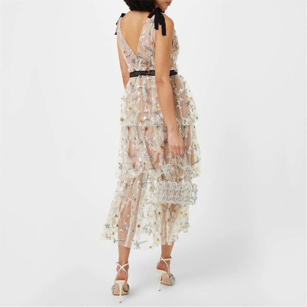 Nude Self Portrait Embroidered Mesh Tiered Star Dress Get The Label