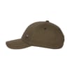 Zebra Cap