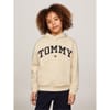 Varsity Over The Head Hoodie Junior