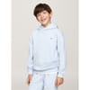 Pull Over Hoodie Juniors
