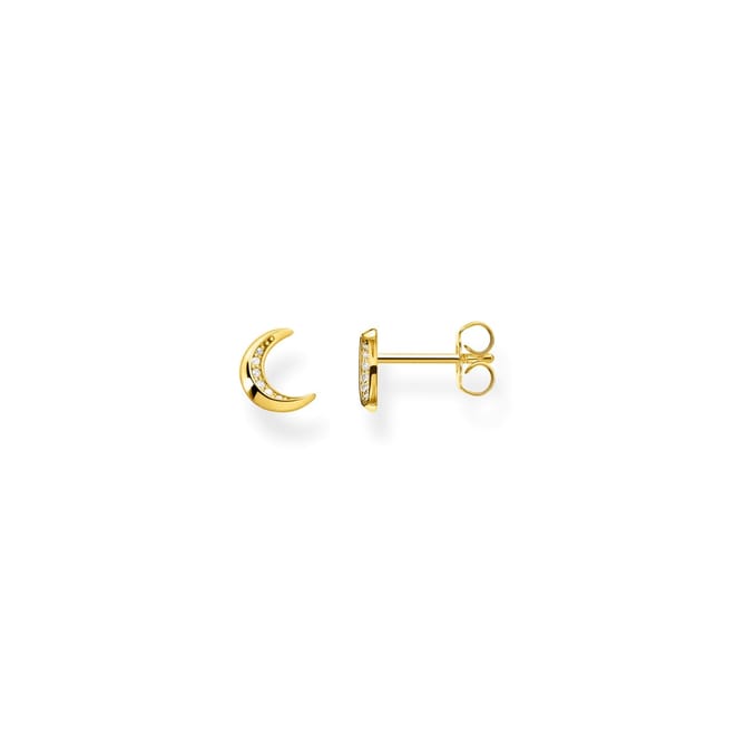 Ear Studs