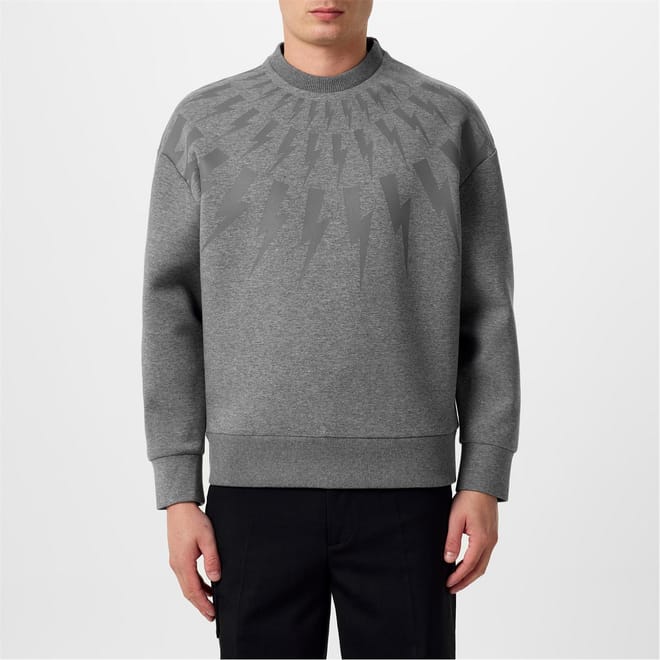Regular Fit Crew Neck Sweater