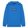 Hooded Regular Fit Sweatshirt