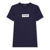 Chamois Geographic Print Crew Neck T-Shirt