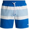 Rico Stripe Swim Trunk