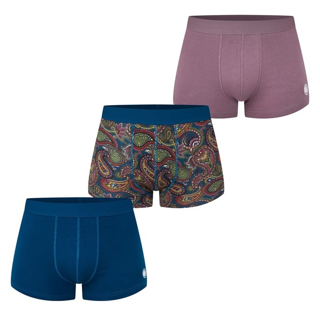 Paisley Boxer Brief