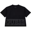 Cropped Regular Fit Crew Neck T-Shirt