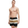 Rico Stripe Swim Short