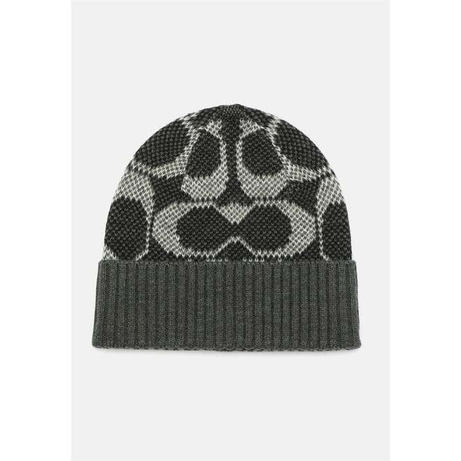 Sig Beanie