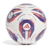 Club Football Adults
