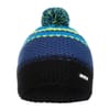 Raise Beanie