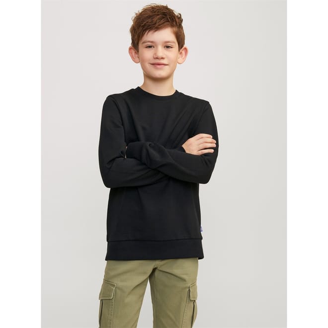 Bradley Crew Neck Regular Fit Sweater
