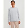 Crew Neck Regular Fit Long Sleeve Sweater