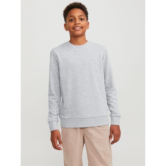 Crew Neck Regular Fit Long Sleeve Sweater