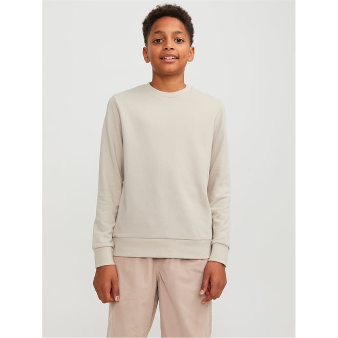 Bradley Crew Neck Regular Fit Sweater