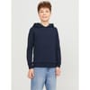Bradley Hooded Sweatshirt
