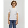 Basic Regular Fit Crew Neck T-Shirt