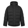 Apex Down Jacket