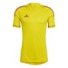 T23 P Gk Jersey