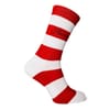 2 Pack Rugby Crew Socks